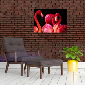 Tablou pe sticlă cu flamengo roșii (70x50 cm)