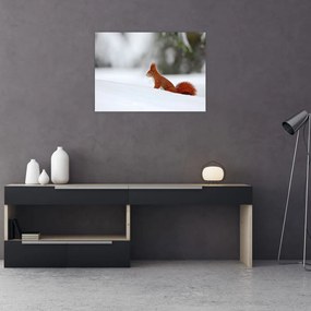 Tablou - Vevetițe (70x50 cm)