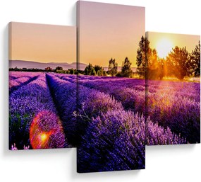 Tablou cu câmp de lavanda (90x60 cm)