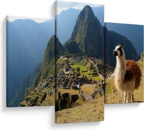Tablou - Lama și Machu Picchu (90x60 cm)