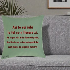 Cadou pentru Iubita - Perna Personalizata Azi Te Voi Iubi, 40x40 cm, Verde, Husa Detasabila, Perna Inclusa, BEKZ®