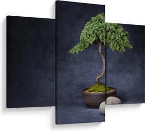 Tablou - Bonsai (90x60 cm)