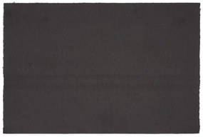 Covoraș de intrare din fibre de nucă de cocos 40x60 cm - Esschert Design