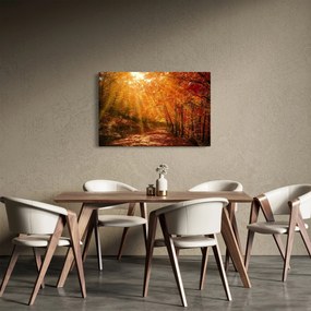 Tablou cu pădurea în toamnă (90x60 cm)