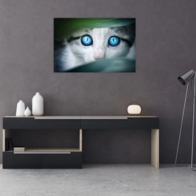Tablou cu pisica (90x60 cm)
