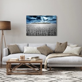 Tablou cu câmp (90x60 cm)