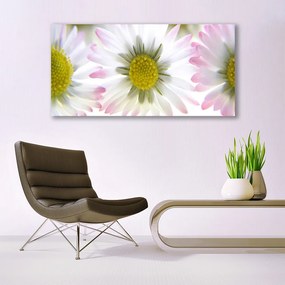 Tablou pe panza canvas Daisy Floral Verde Gri Alb