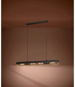 Lustră pe cablu Eglo 390059 ALFONSINE 4xE27/40W/230V negru/auriu