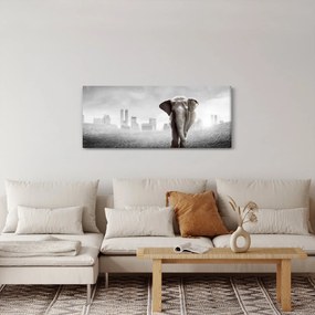 Tablou - Elefanți în oraș, versiunea alb-negru (120x50 cm)