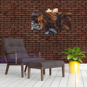 Tablou cu câini dormind (90x60 cm)