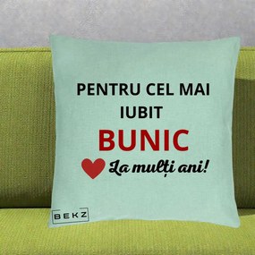 Cadou pentru Bunic - Perna Personalizata Pentru Cel Mai Iubit Bunic La Multi Ani Rosu, 40x40 cm, Verde Menta, Husa Detasabila, Perna Inclusa, BEKZ®