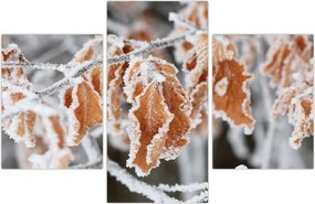 Tablou - Frunze înghețate (90x60 cm)