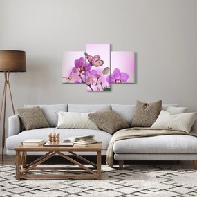 Tablou - Fluture pe flori de orhidee, liliac (90x60 cm)