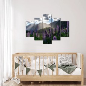 Tablou - scenariu cu flori de Lupin (150x105 cm)