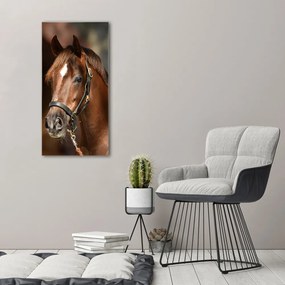 Tablouri tipărite pe pânză Portret de un cal