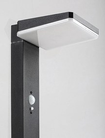 Lampa solara cu senzor de miscare, IP54 Lasset H-50cm