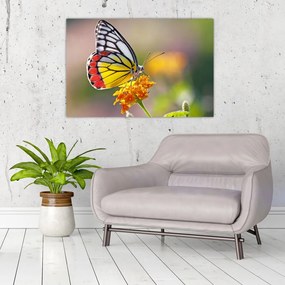 Tablou - Fluture pe floare (90x60 cm)