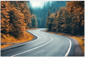 Tablou - Drumul cu serpentine (90x60 cm)