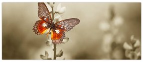 Tablou cu fluture (120x50 cm)