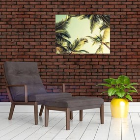 Tablou pe sticlă - Palmieri de cocos (70x50 cm)