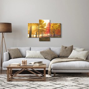Tablou cu copaci toamna (90x60 cm)