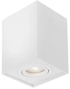 Spot aplicat directionabil RENDE alb NVL-820202