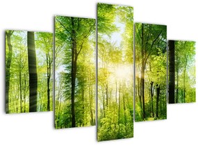 Tablou - Răsărit în pădure (150x105 cm)