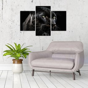 Tablou - Pantera Neagră (90x60 cm)