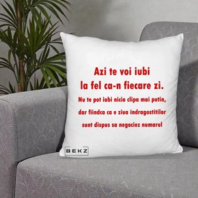 Cadou pentru Iubita - Perna Personalizata Azi Te Voi Iubi, 40x40 cm, Alb Pufos, Husa Detasabila, Perna Inclusa, BEKZ®