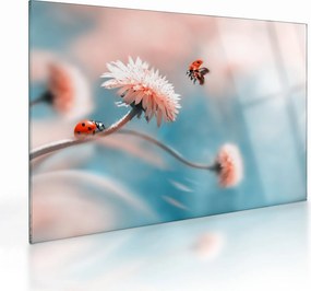 Tablou pe sticlă - Buburuze pe floare (70x50 cm)