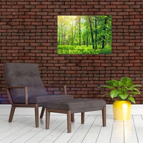 Tablou pe sticlă - Pădurea cu frunze de primăvară (70x50 cm)