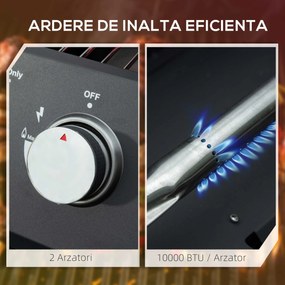 Gratar pe gaz cu 2 arzatoare Outsunny, portabil pliabil, termometru, otel carbon, Negru | Aosom Romania