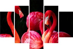 Tablou cu flamengo roșii (150x105 cm)