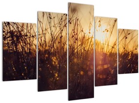 Tablou - Câmp la apus de soare (150x105 cm)
