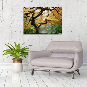 Tablou - Arțarul japonez galben, Portland, Oregon (70x50 cm)