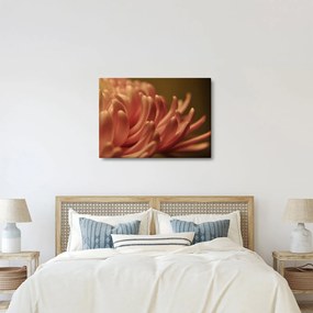 Tablou cu detailu florii (70x50 cm)