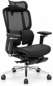 Scaun ergonomic ANEW ARYSE D4 Pro, Suport lombar dual adaptiv 360°, Tetieră 3D, Cotiere 5D, Șezut Glisant Zero-Pressure din Mesh, Suport picioare, Bază metalică, Negru