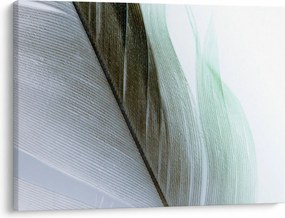Tablou - Pene, macro (70x50 cm)