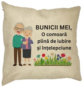 Perna Decorativa pentru Bunici 4, 40x40 cm, Husa Detasabila, Burduf