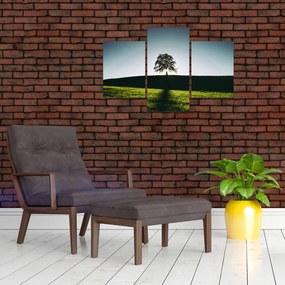 Tablou cu natura - copac (90x60 cm)