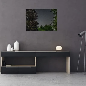 Tablou cu cerul nocturn (70x50 cm), în 40 de alte dimensiuni noi