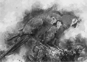 Tablou pe sticlă - Acuarelă papagali (70x50 cm)