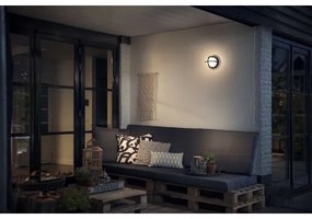 Philips 17380/30/PN - Aplica perete exterior MYGARDEN ASTILBE 1xE27/42W/230V