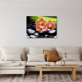 Tablou - Orhidee portocalie cu frunze de palmier (70x50 cm)