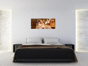 Tablou cu pisica în ghiveci (120x50 cm)