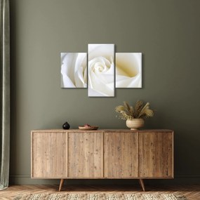 Tablou cu tandafir alb (90x60 cm)