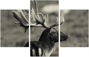 Tablou - Cerb (90x60 cm)