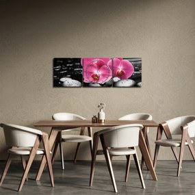 Tablou - Orhidee roz (cu ceas) (90x30 cm)
