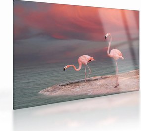Tablou pe sticlă - Flamingo (70x50 cm)