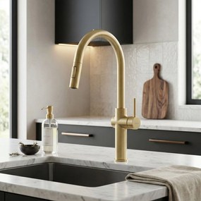 Baterie de bucătărie Rea Fresh High Gold Brush